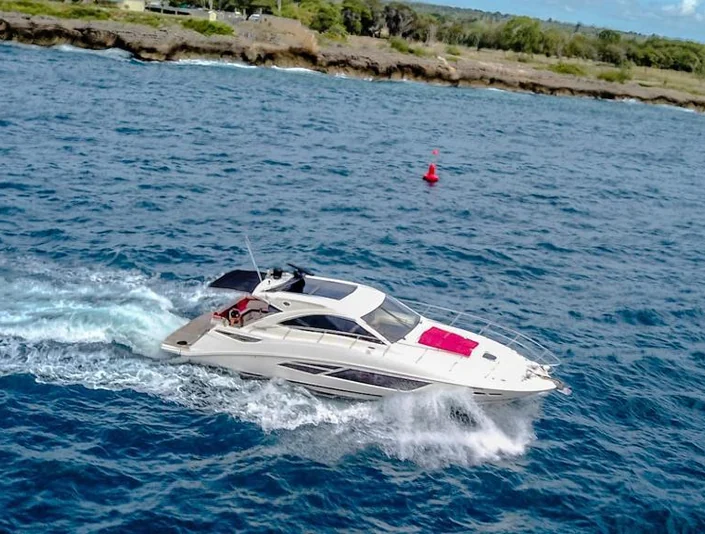 Sea Ray 53 exterior
