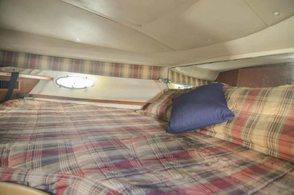 Tiara 36 forward cabin
