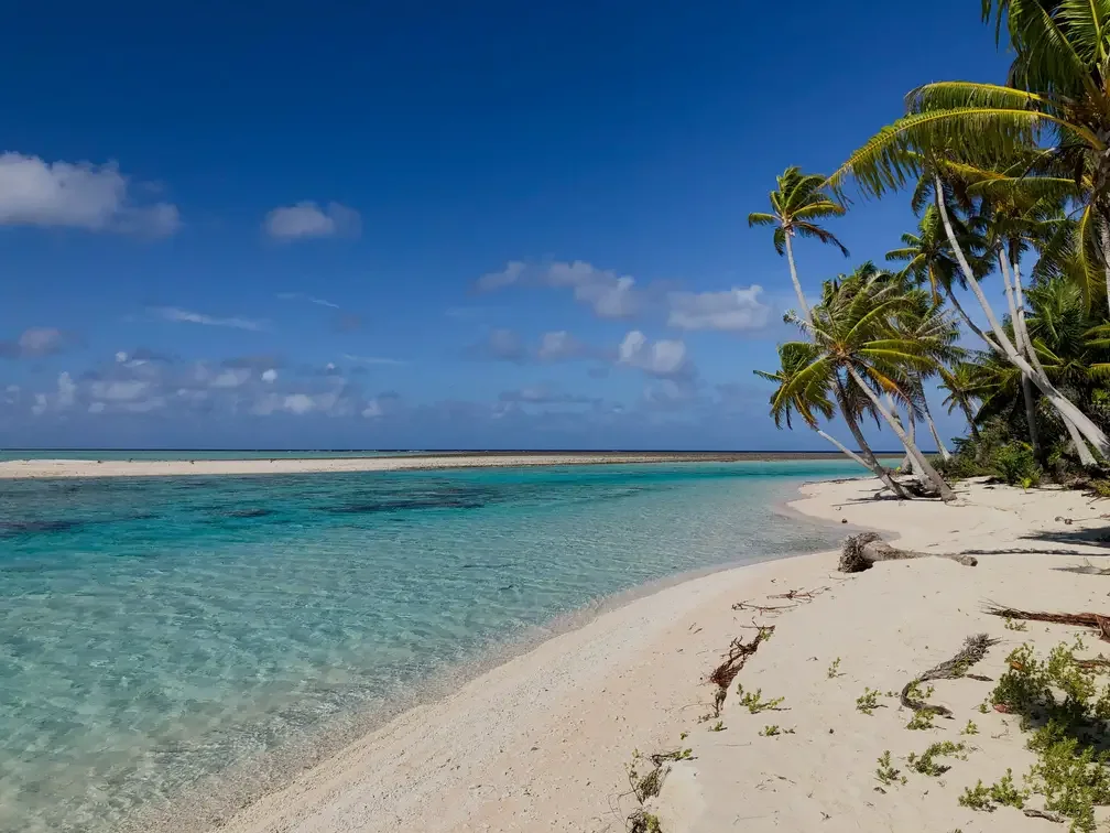 Playa con palmeras y aguas poco profundas en la isla Saona